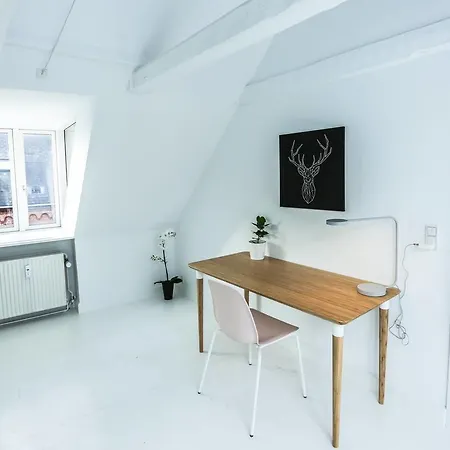 Apartamento 205sqm 2 Plan With 60sqm Private Rooftop Terrace Copenhague