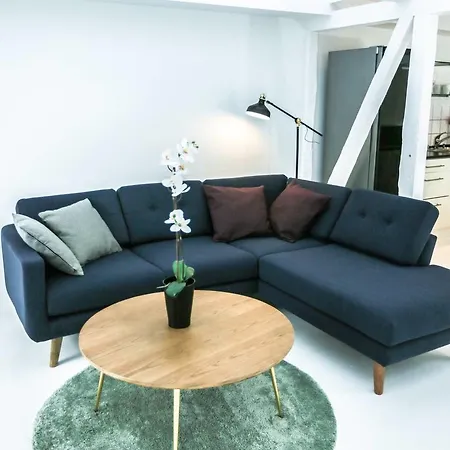 Apartamento 205sqm 2 Plan With 60sqm Private Rooftop Terrace Copenhague