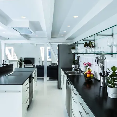 Apartamento 205sqm 2 Plan With 60sqm Private Rooftop Terrace Copenhague